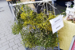 WhatsApp-Image-2025-12-13-at-10.35.56_4